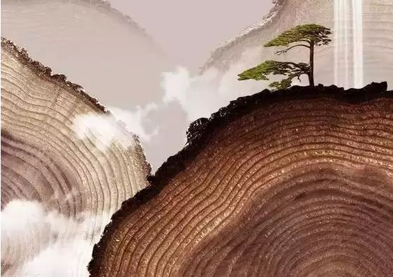 又双叒叕入梅了,地板防潮攻略来啦! 又双叒叕入梅了,地板防潮攻略来啦!